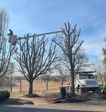 Hydraulic Hose Replacement on a Bucket Truck